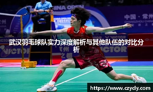 武汉羽毛球队实力深度解析与其他队伍的对比分析